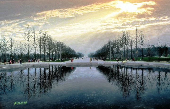 【重庆中央公园摄影图片】重庆中央公园风光摄
