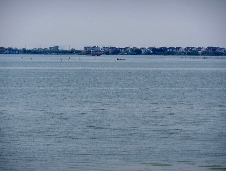 消失的阳澄湖美景