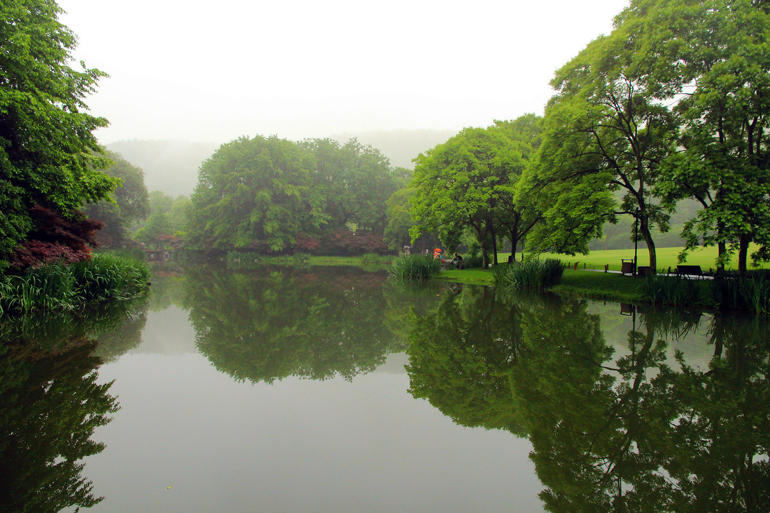 杭州雨天闲诳