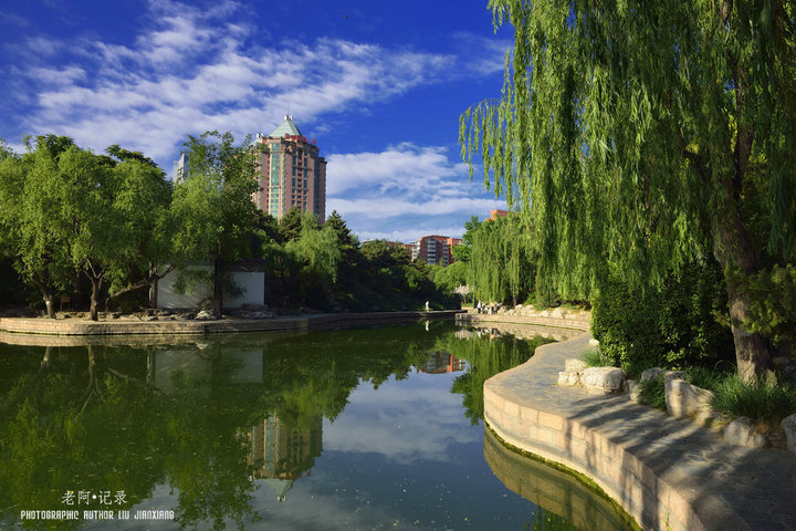 蓝天、白云、团结湖——团结湖公园小景