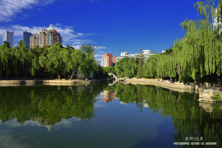 蓝天、白云、团结湖——团结湖公园小景