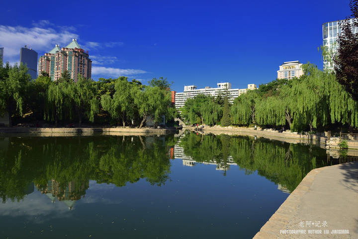 蓝天、白云、团结湖——团结湖公园小景