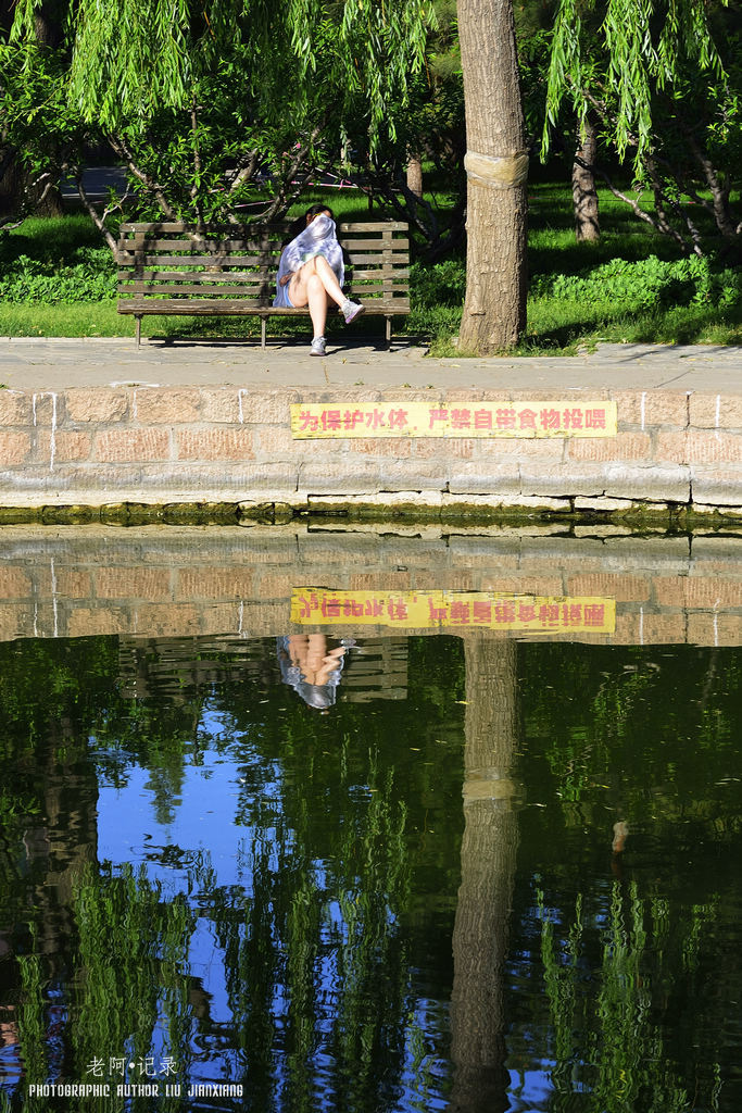 蓝天、白云、团结湖——团结湖公园小景