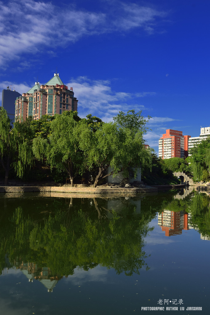 蓝天、白云、团结湖——团结湖公园小景