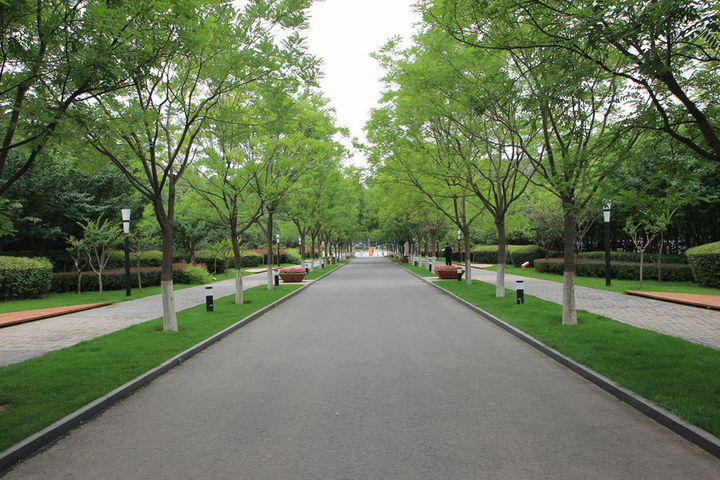 大浪v大浪公园城市龙华风景别墅图片