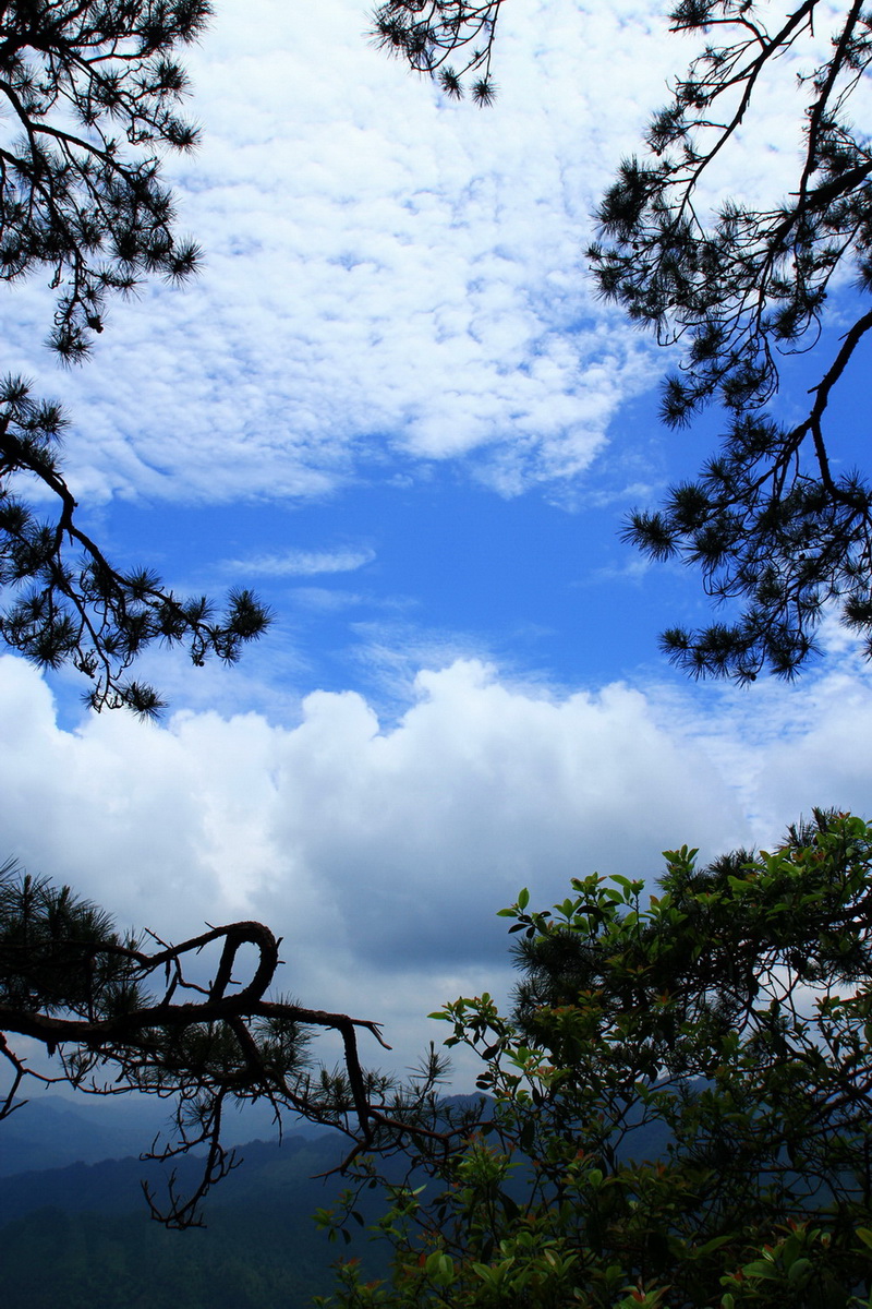 莲花山飞云