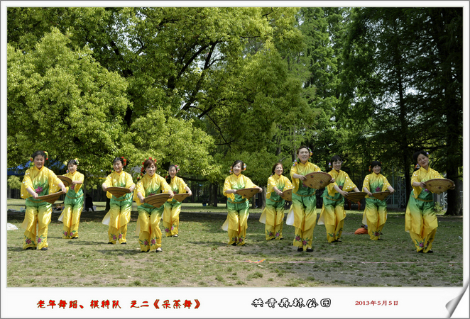 【老年模特、舞蹈队之“采茶舞”摄影图片】上海  森林公园纪实摄影_太平洋电脑网摄影部落