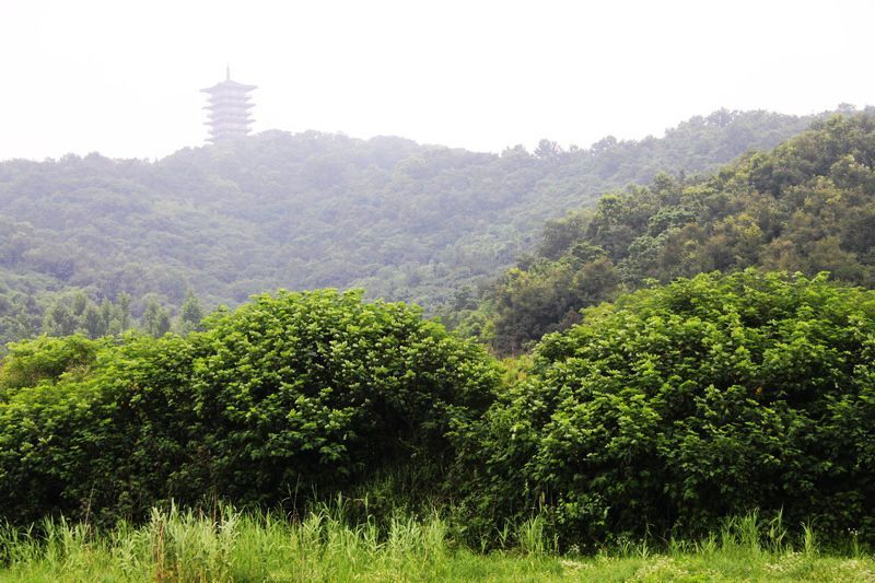 紫蓬山风景区首届文化旅游周开幕式纪实