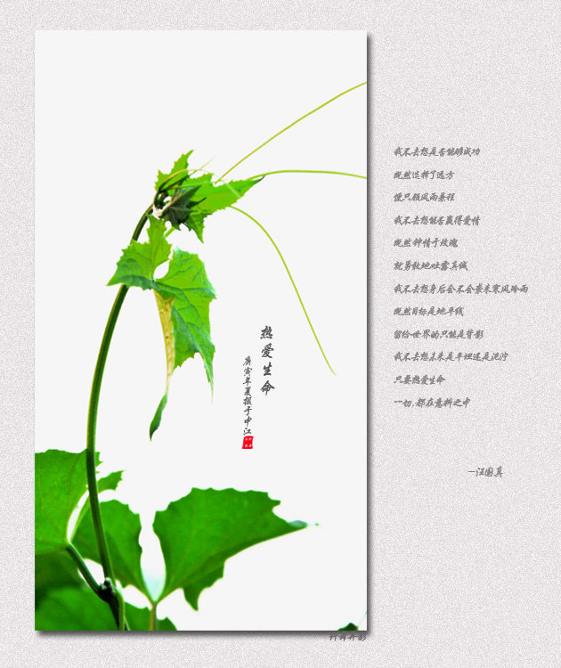 热爱生命邪恶了怀孕漫画图片的图片