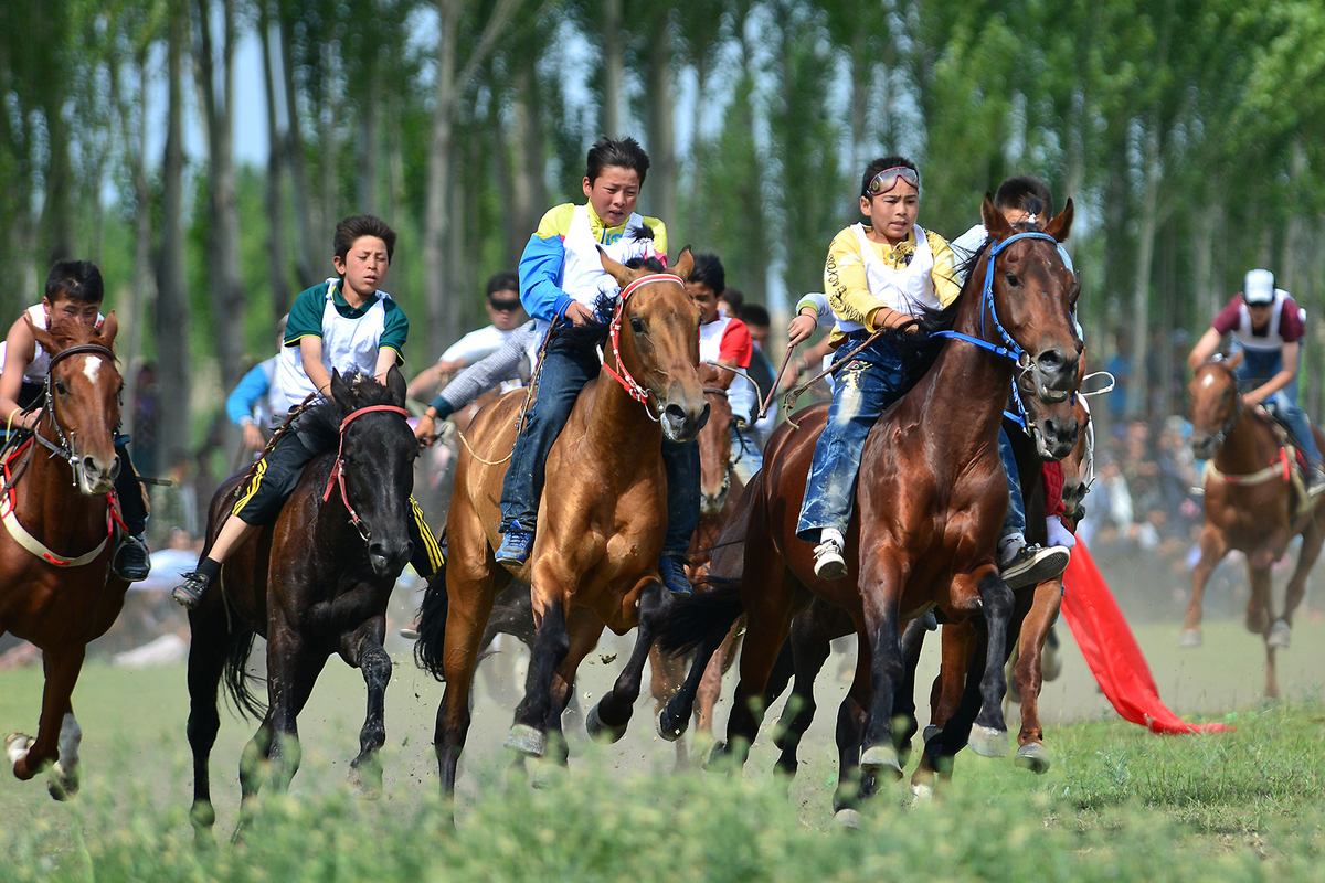 社会参与度最高的马场：深圳光明骑士会_1赛马网_第一赛马网