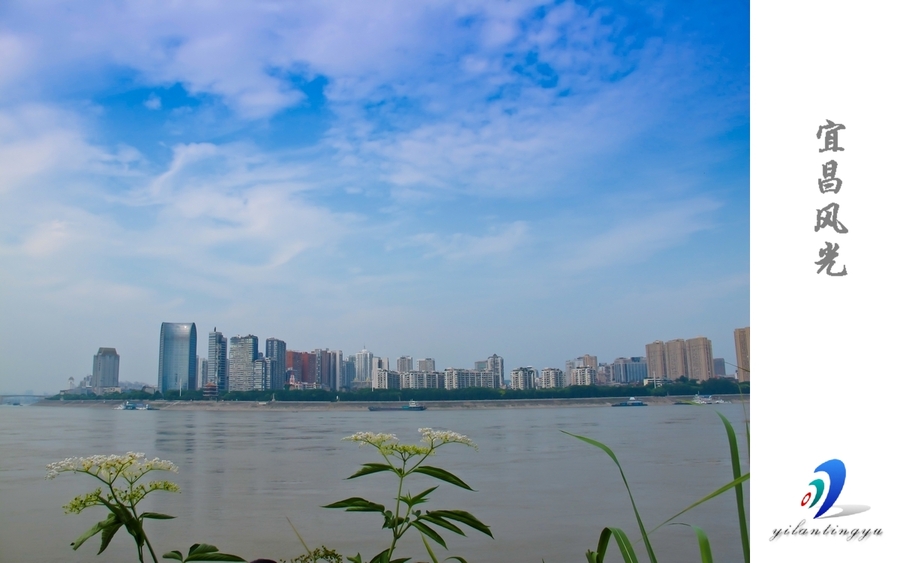 【美丽的滨江城市--湖北宜昌摄影图片】宜昌 江