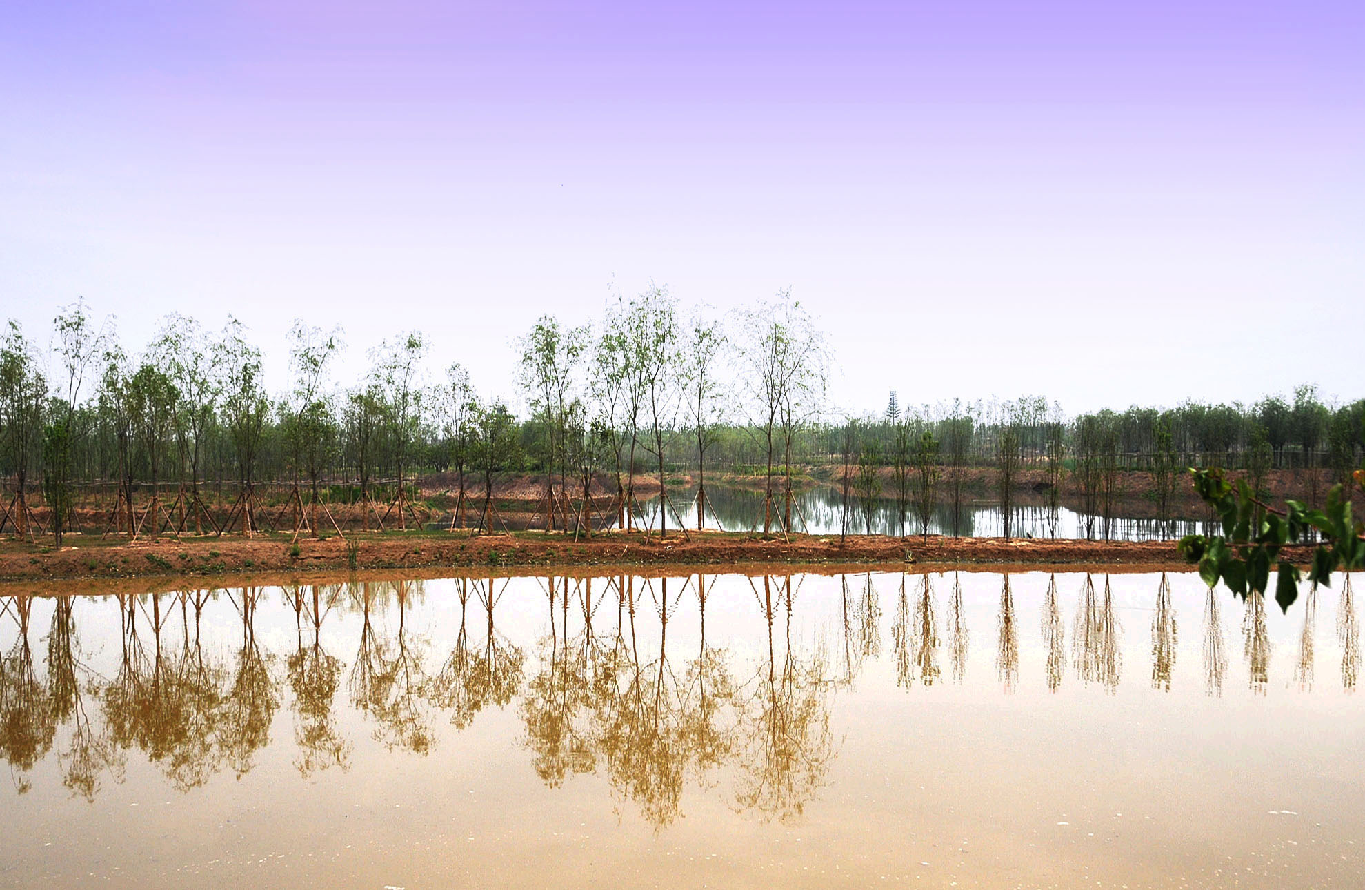 【西安浐灞国家湿地公园摄影图片】西安纪实摄