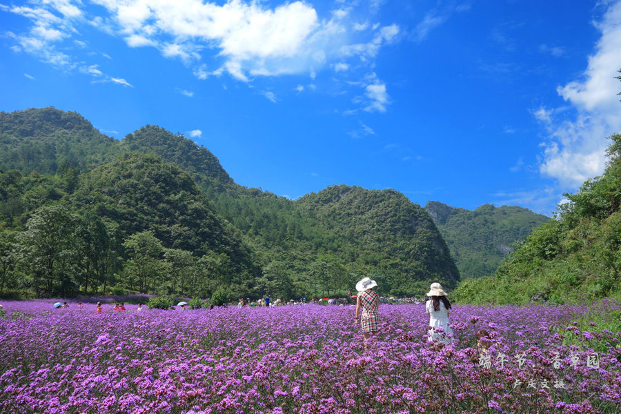 【苗女走过的"香草园"摄影图片】黔南荔波风光摄影_网