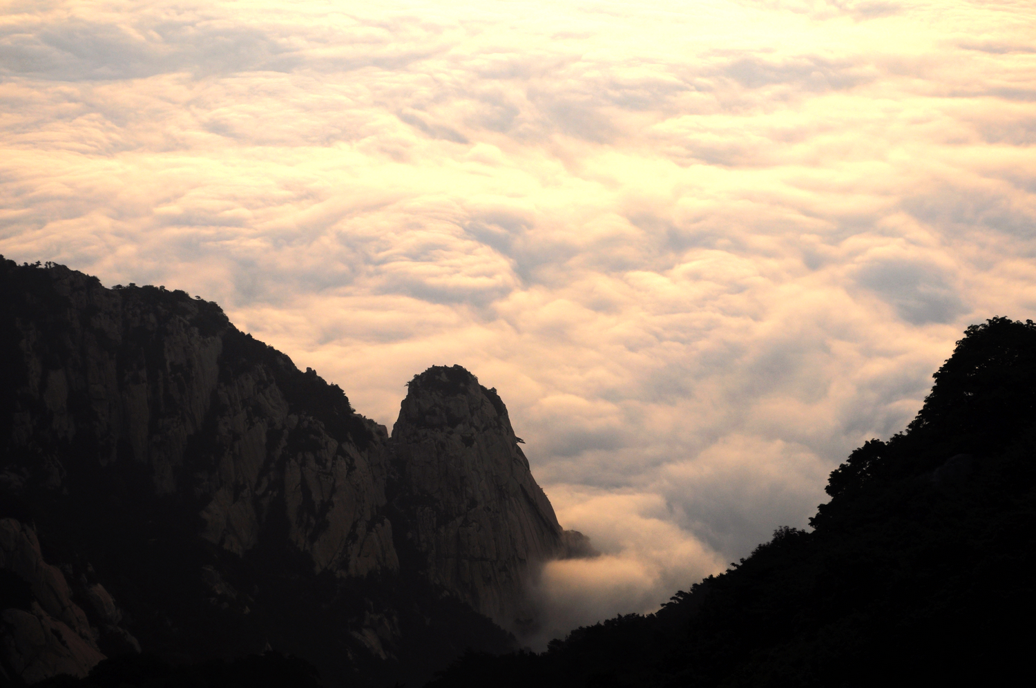 泰山