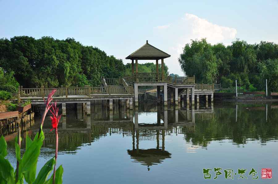 西芦园.太仓