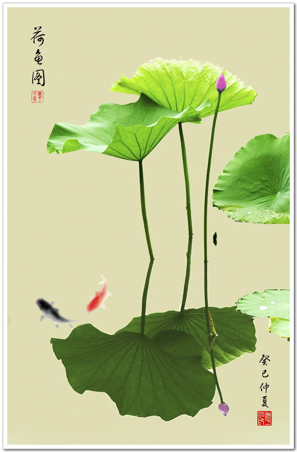 画意荷花