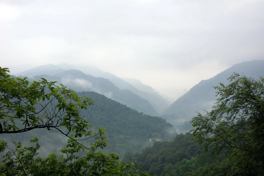 烟雨青城山