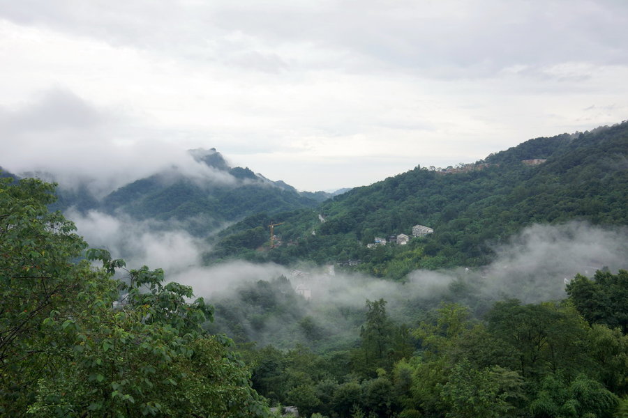 烟雨青城山