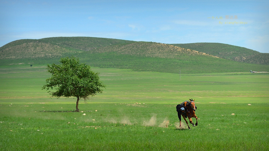 【一个人的那达慕摄影图片】科尔沁草原风光旅