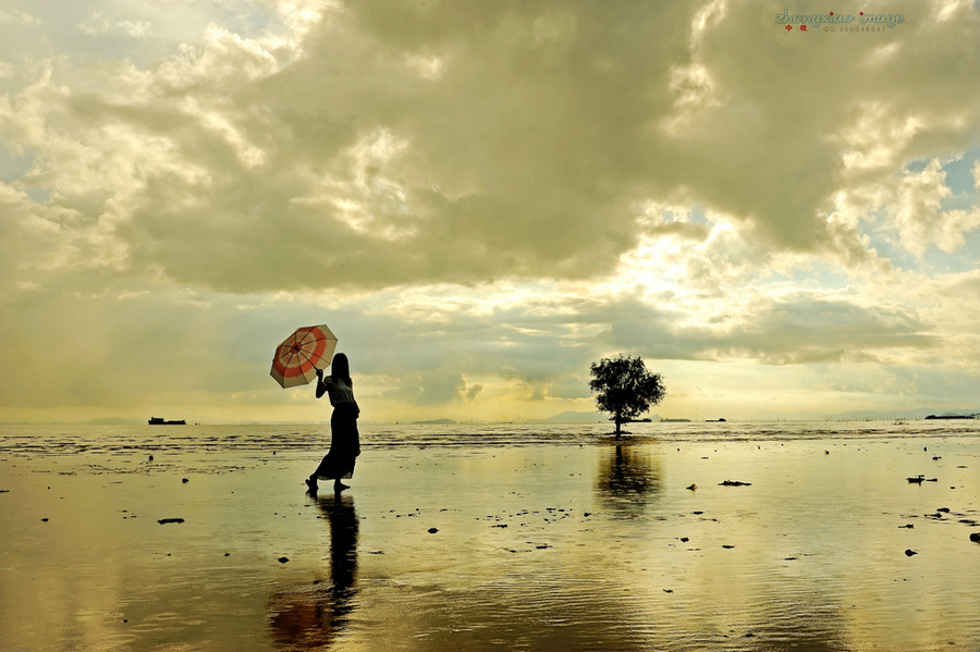 【一棵树,一个人,活力依然摄影图片】广东珠海