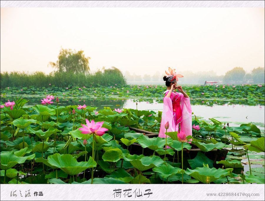 【荷花仙子摄影图片】白洋淀人像摄影_太平洋电脑网