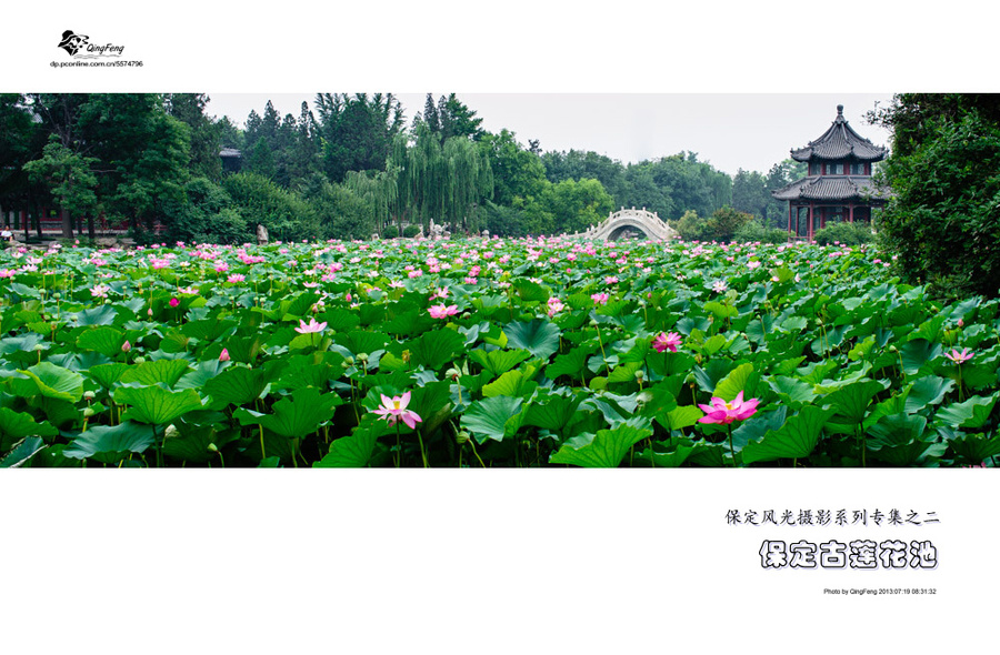 保定古莲花池