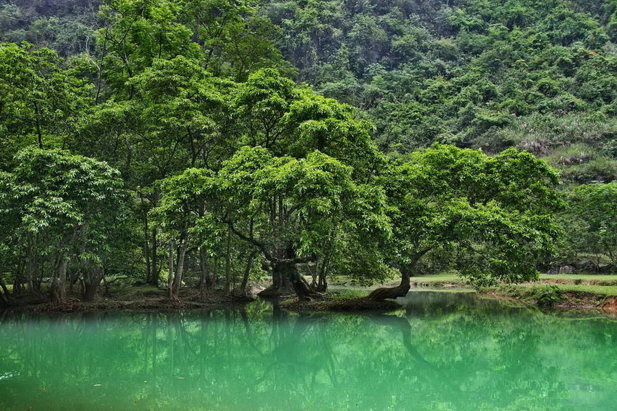 空谷幽静溪流清