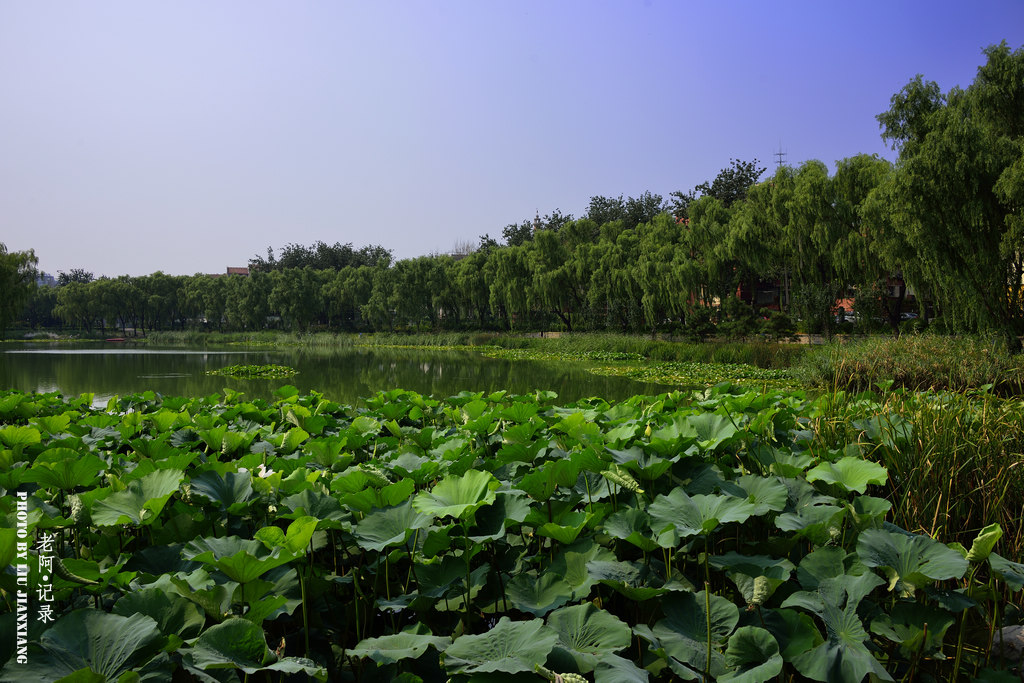 北京龙潭西湖