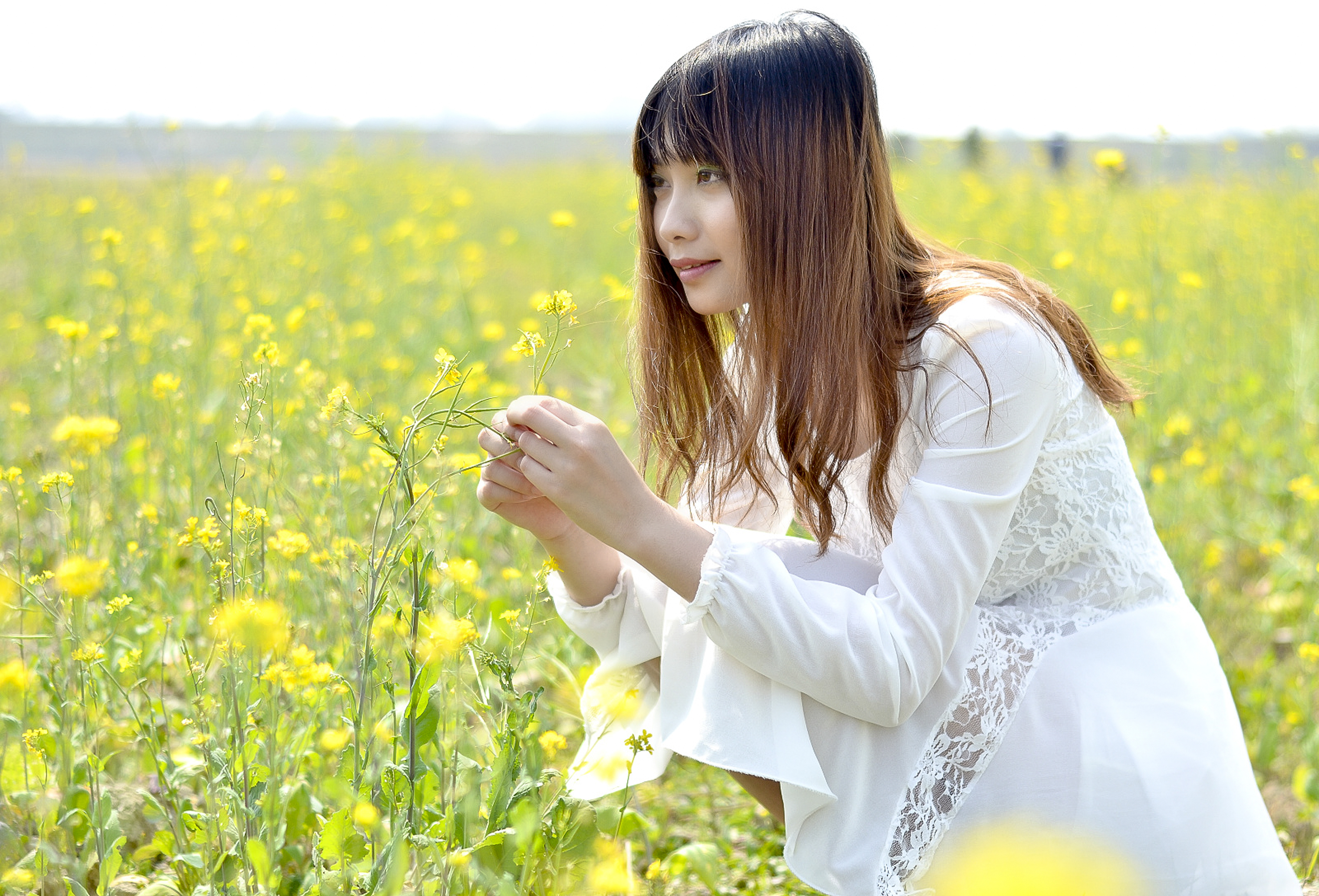 油菜花开美女来