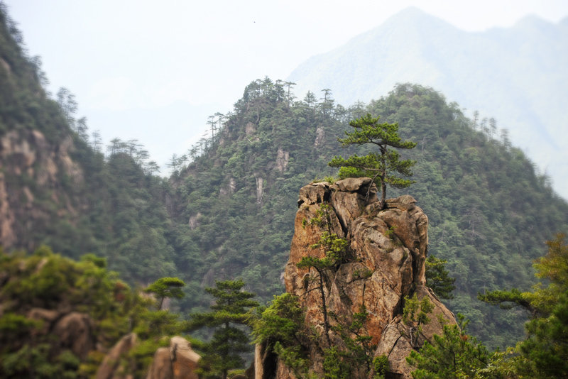 【游浙江大明山摄影图片】浙江大明山风光旅游