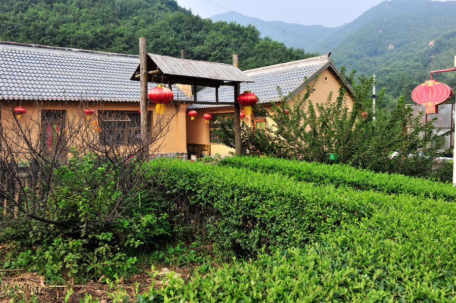 乡村爱情的象牙山