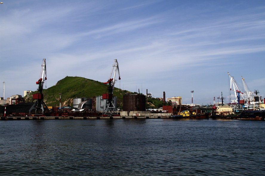 俄罗斯墨鱼---海参崴(共p)海景松鼠补钙骨图片