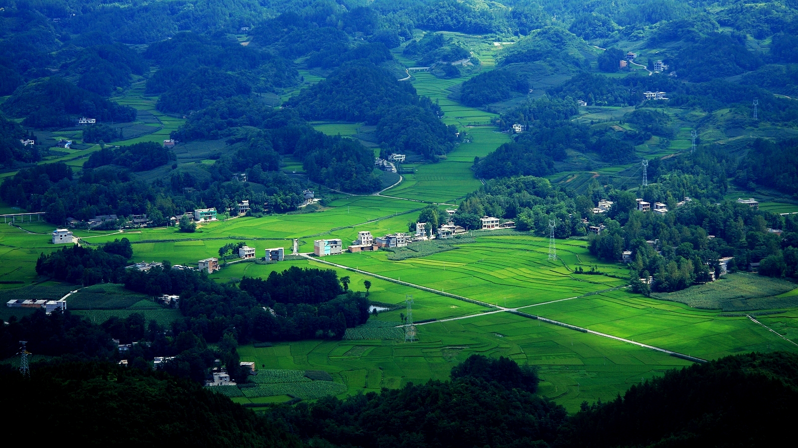 苍翠山村