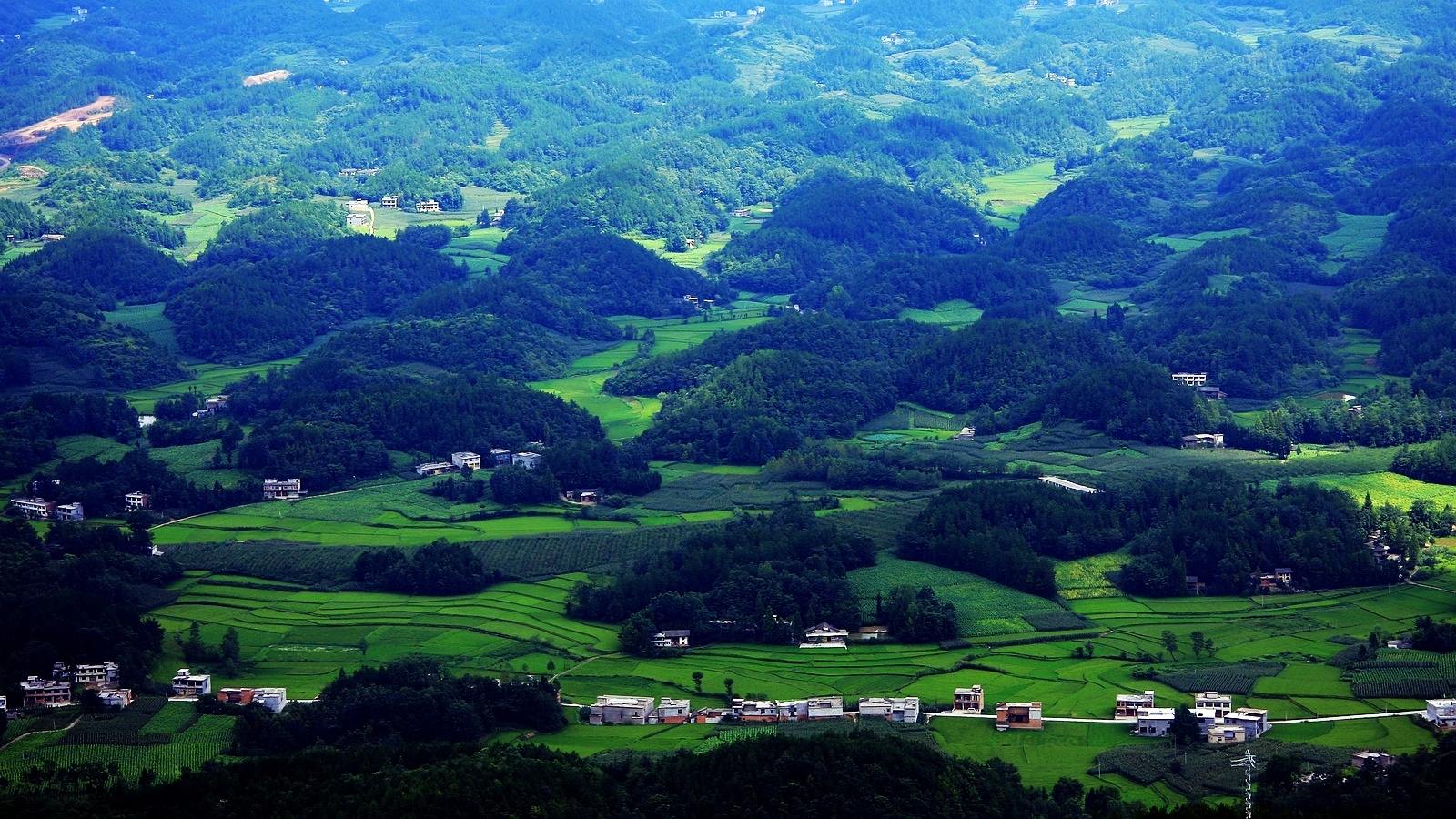 苍翠山村