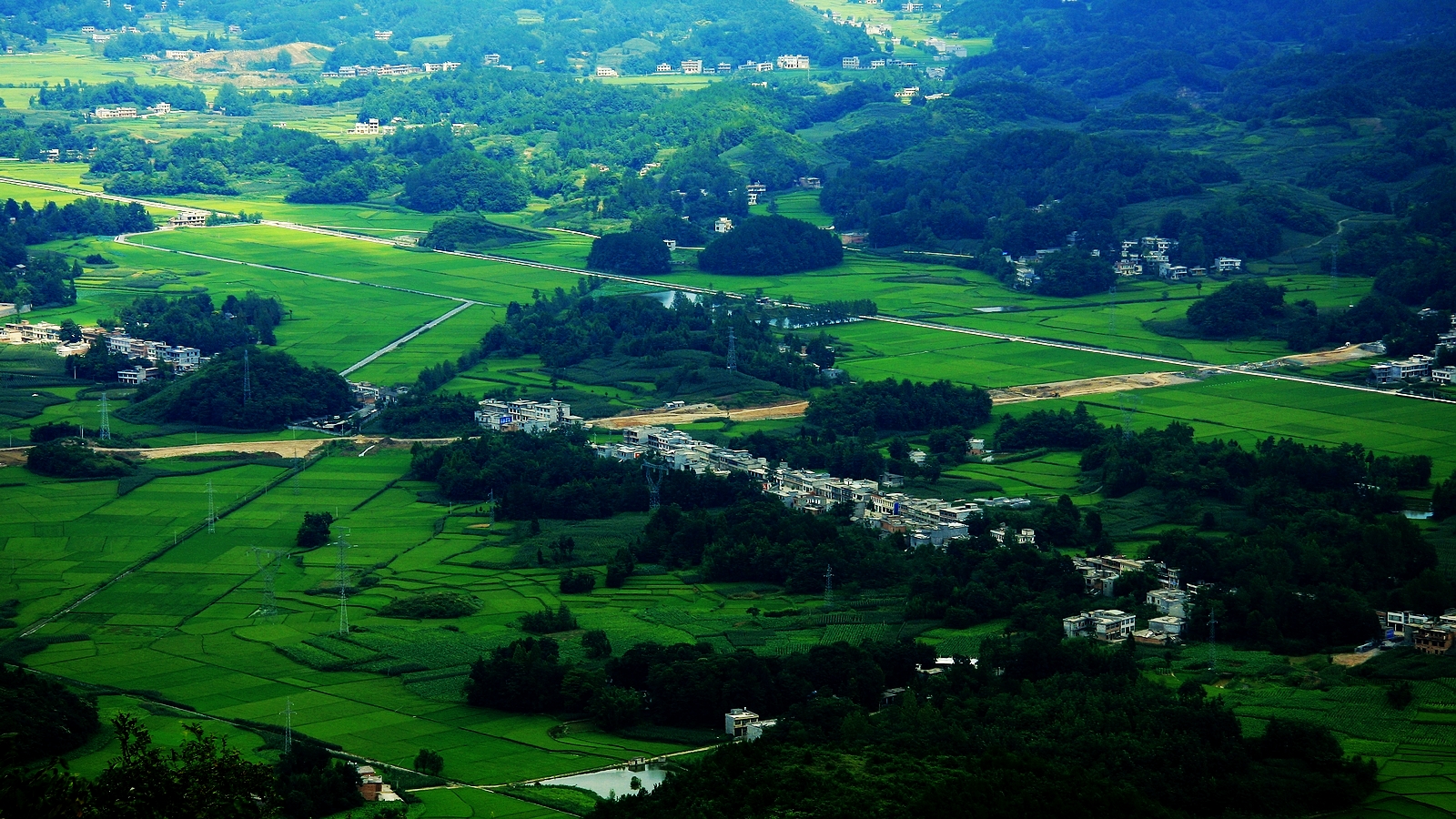 苍翠山村