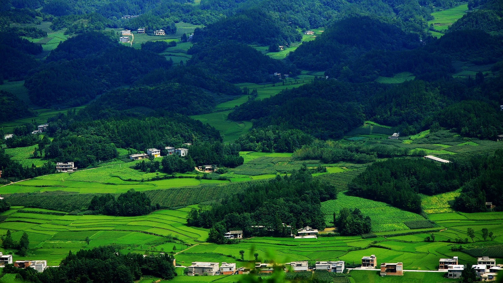 苍翠山村