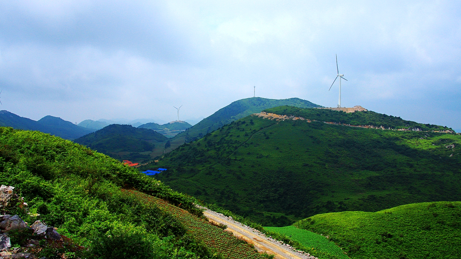 风扬齐岳山