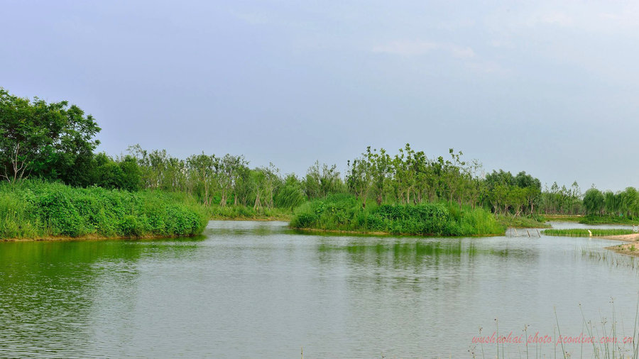 【西安浐灞国家湿地公园摄影图片】西安浐灞国