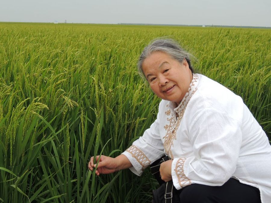 参观万亩大地号(黑龙江二道河农场)