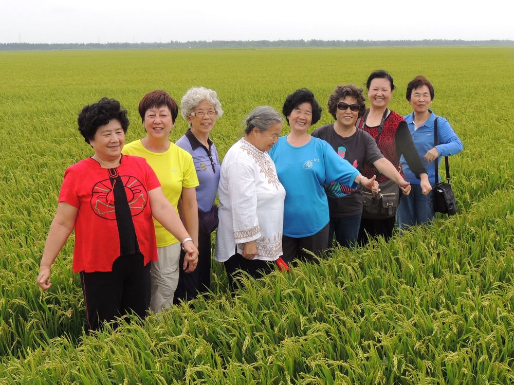 参观万亩大地号(黑龙江二道河农场)
