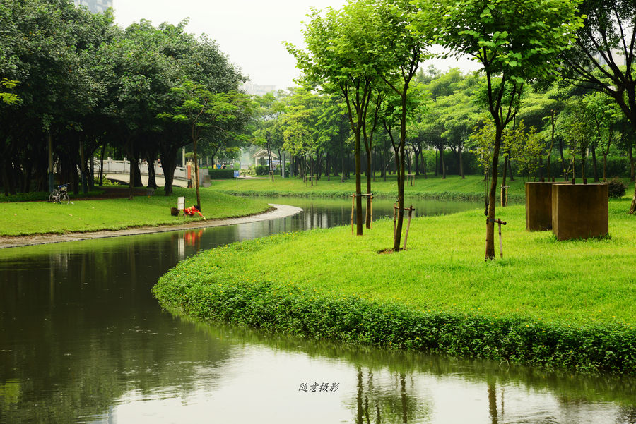 雨后的艺术公园