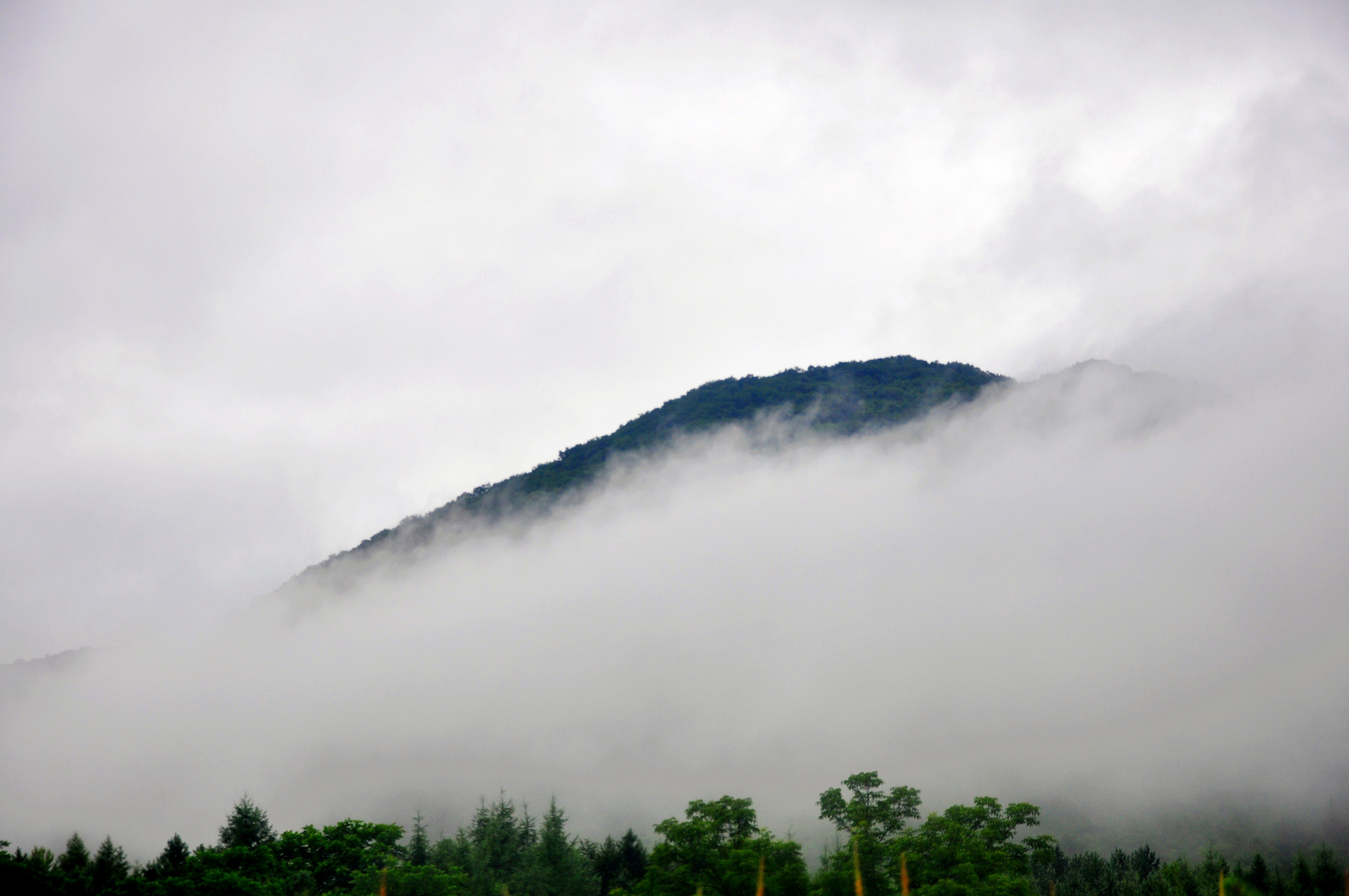 雾锁青山