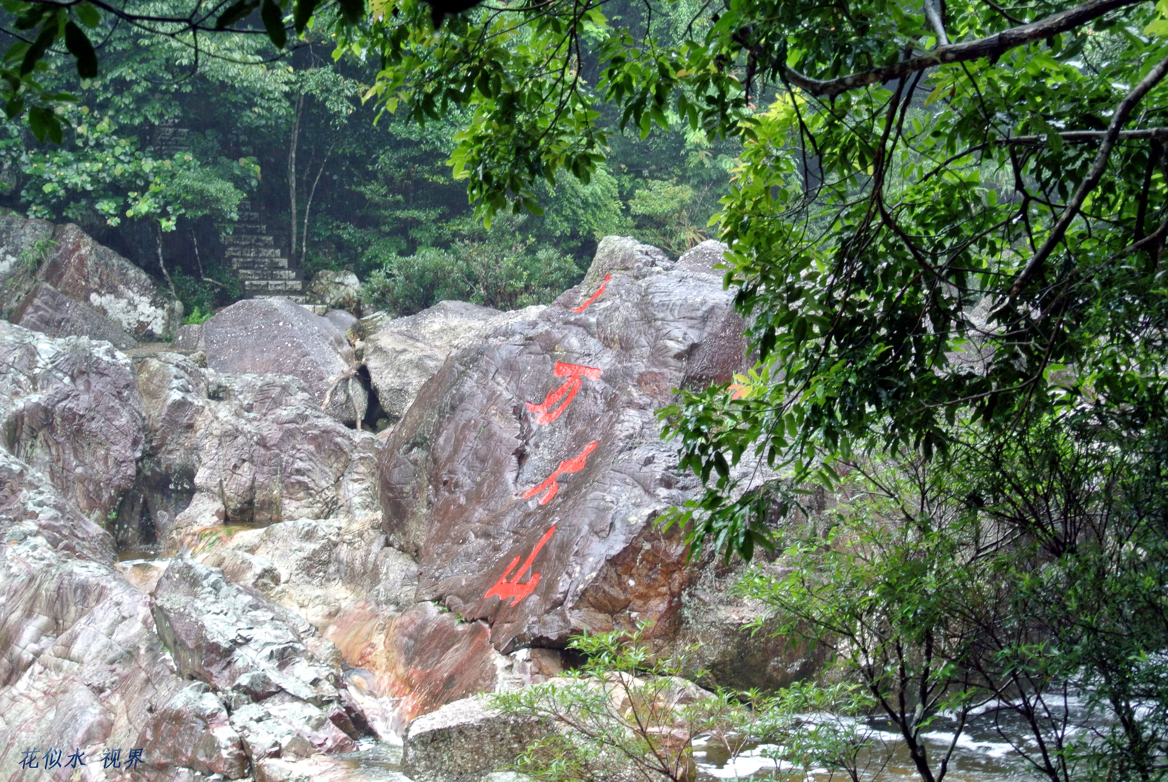 【十万大山国家森林公园摄影图片】广西防城上思风光