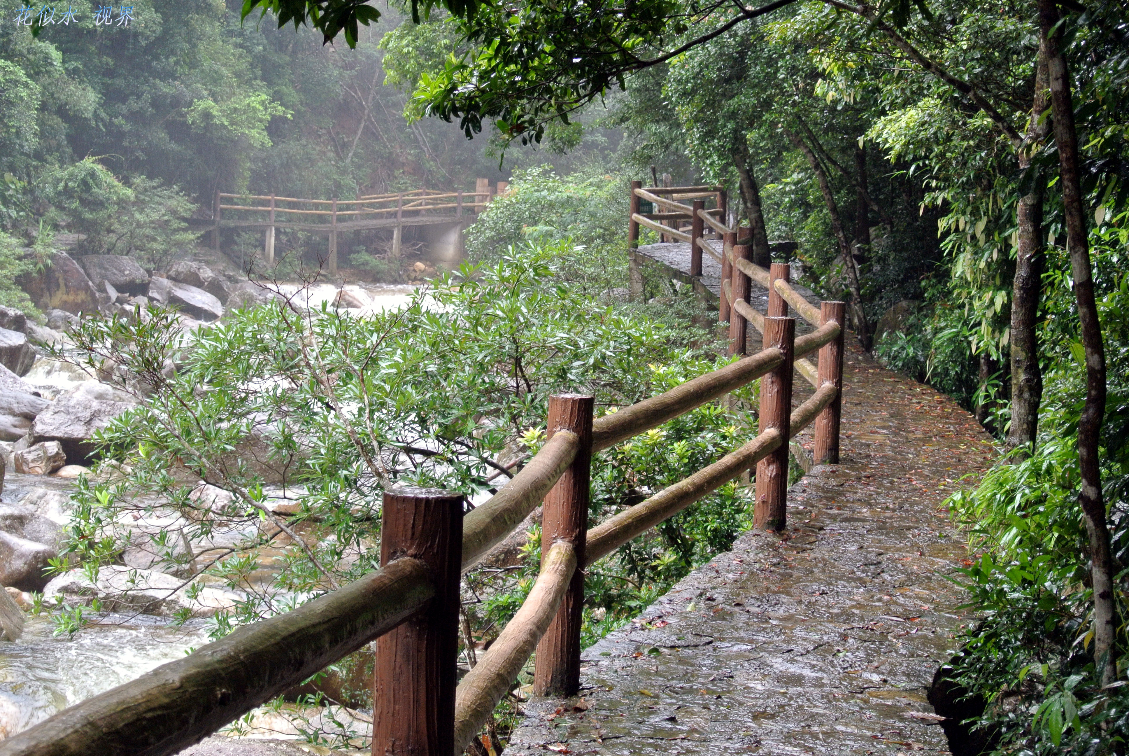 十万大山国家森林公园