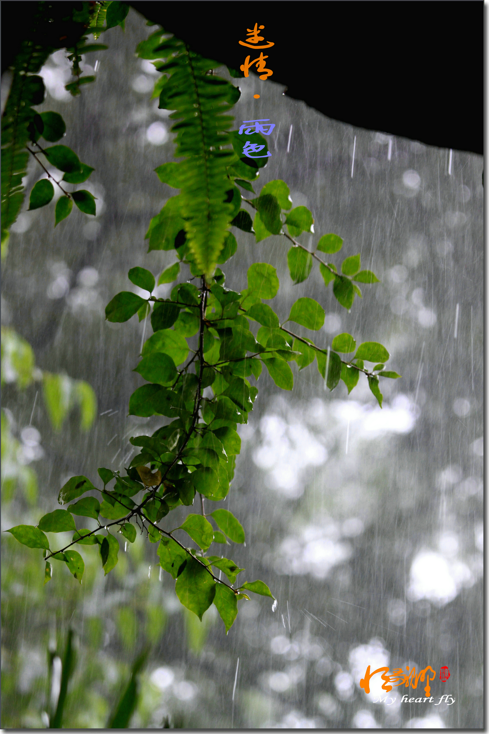 迷*情*雨*色