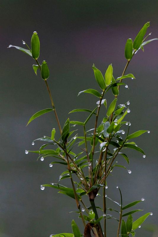 雨过天晴