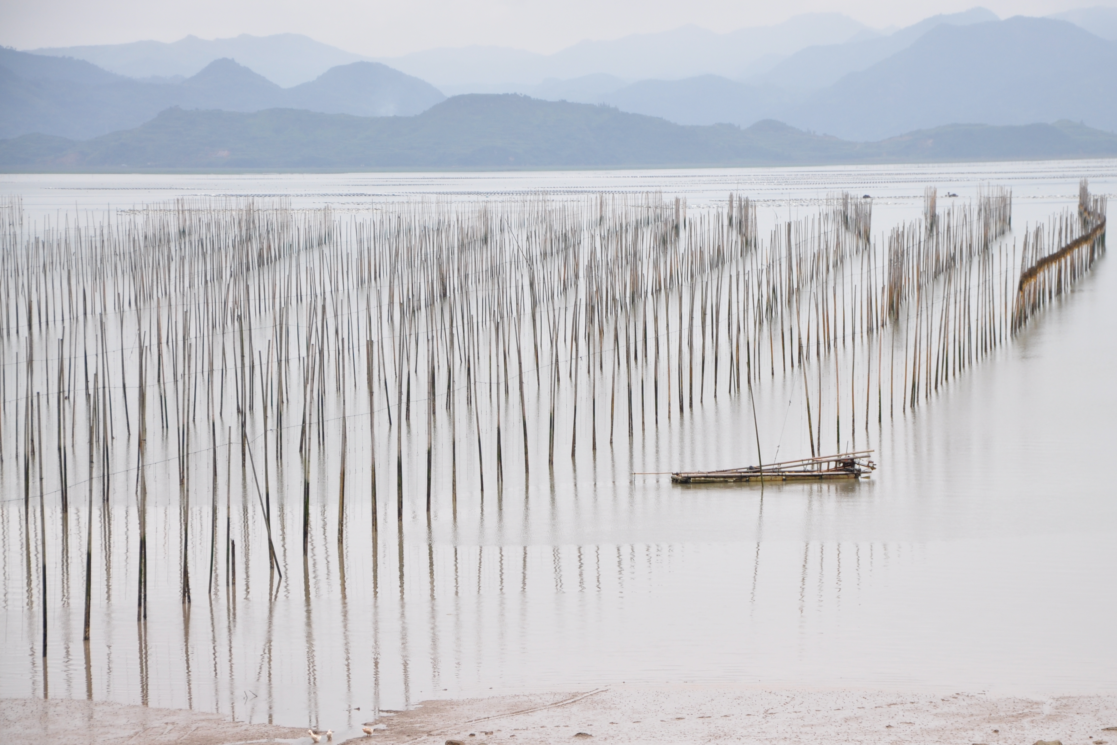 福建霞浦