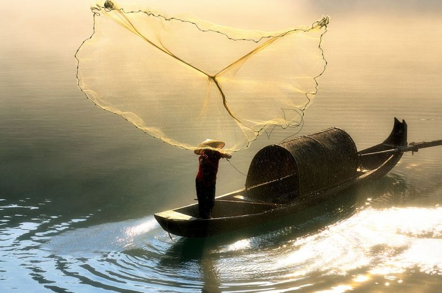 【小东江(三)--金色的渔网摄影图片】生活摄影