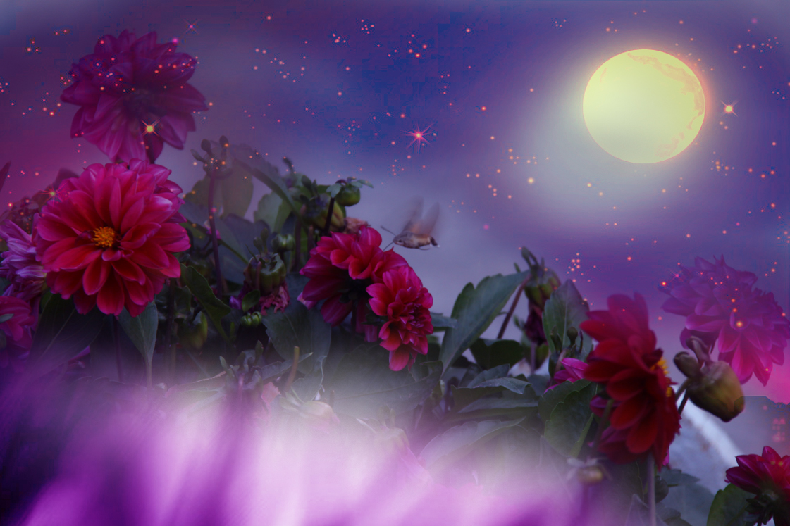 花好月圆