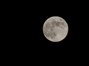 中秋节晚上的月亮